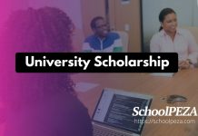 Sussex University Scholarships