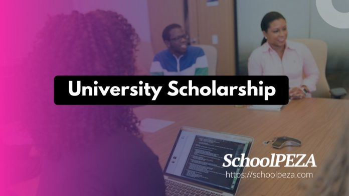 Sussex University Scholarships