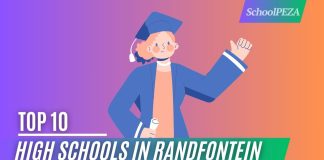 Top 10 Best High Schools in Randfontein South Africa