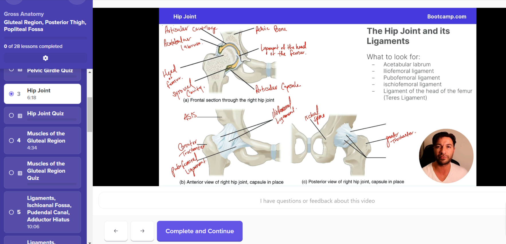Anatomy Bootcamp video lesson on the hip joint