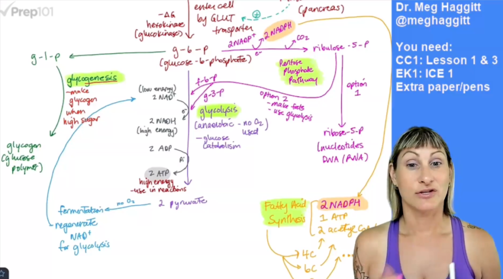 Prep101 MCAT video lesson with instructor notes
