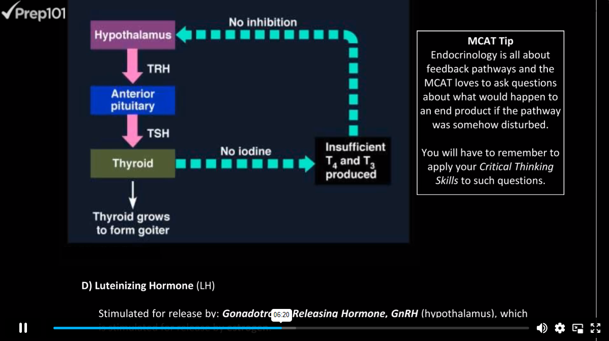 Prep101 MCAT video lesson on metabolic pathways