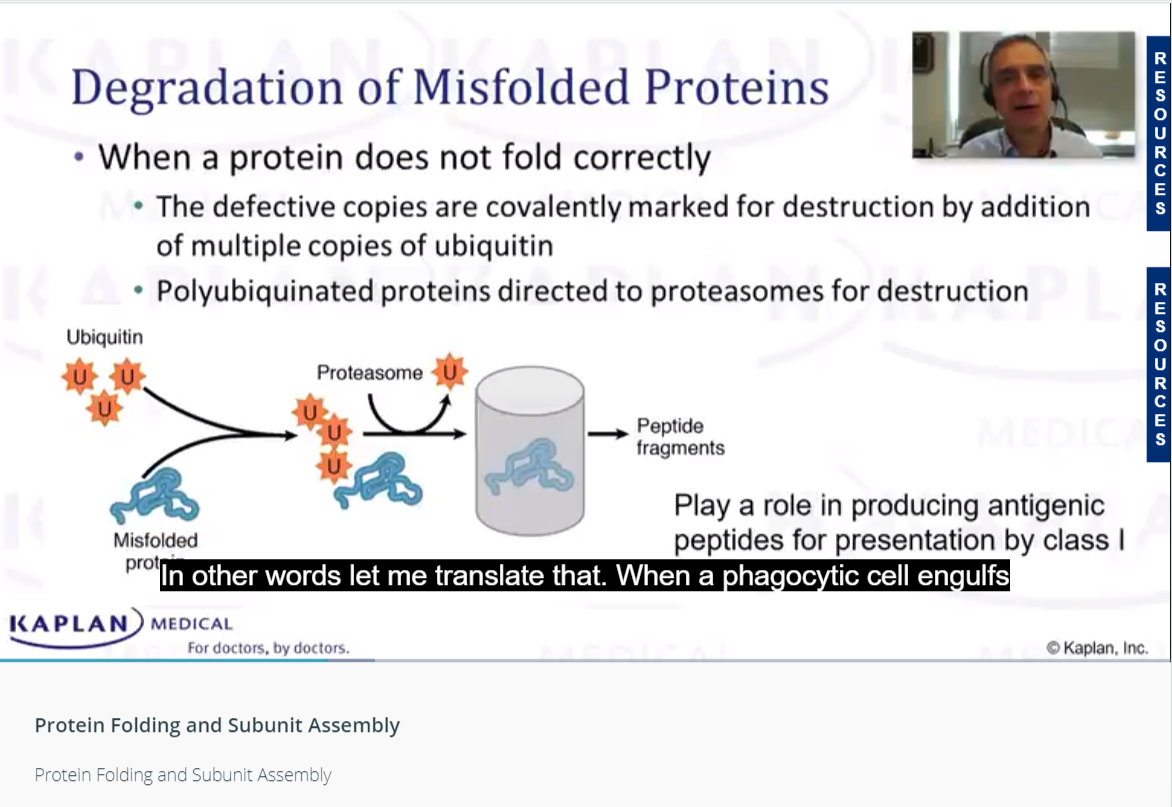 Kaplan lecture slide on degradation of misfolded proteins with the instructor on video